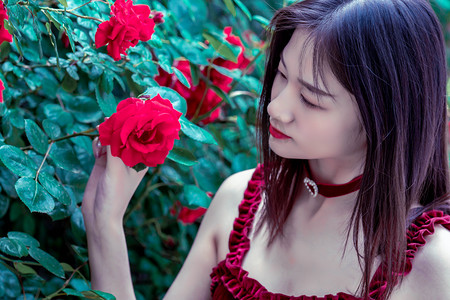 河北深州：贝贝南瓜迎丰收 特色种植促增收